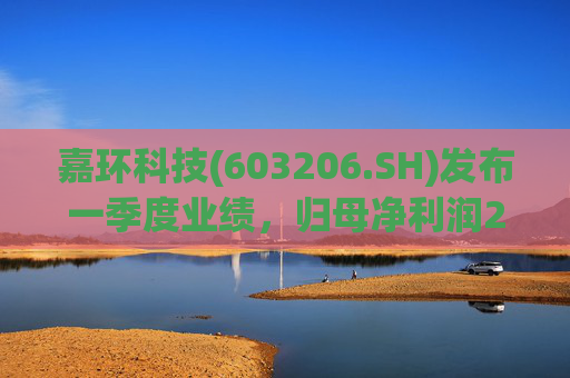 嘉环科技(603206.SH)发布一季度业绩，归母净利润2021.72万元，同比下降21.02%