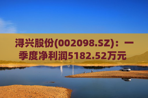 浔兴股份(002098.SZ)：一季度净利润5182.52万元 同比增加41.52%