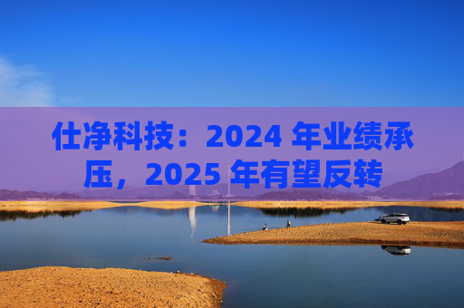 仕净科技：2024 年业绩承压，2025 年有望反转