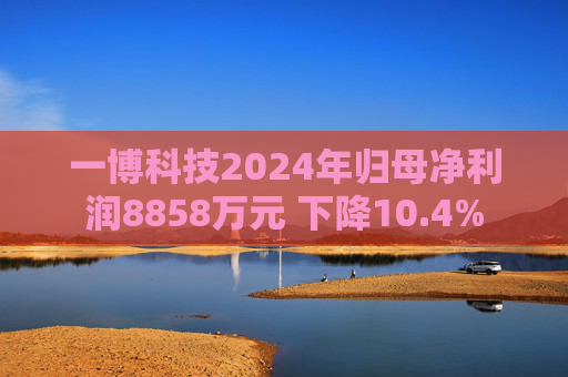 一博科技2024年归母净利润8858万元 下降10.4%