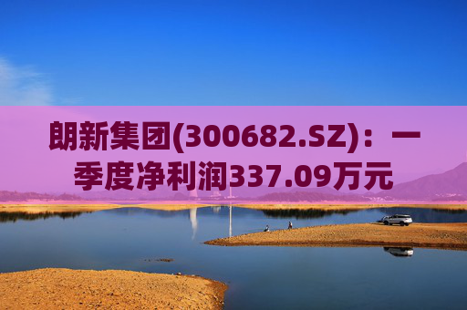 朗新集团(300682.SZ)：一季度净利润337.09万元