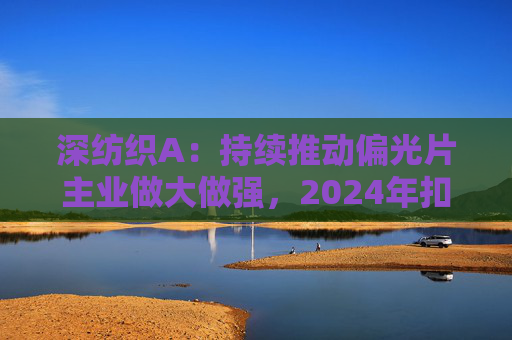 深纺织A：持续推动偏光片主业做大做强，2024年扣非归母净利润增长23.58%