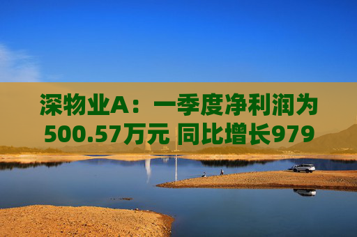 深物业A：一季度净利润为500.57万元 同比增长979.79%  第1张