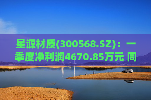 星源材质(300568.SZ)：一季度净利润4670.85万元 同比减少56.39%