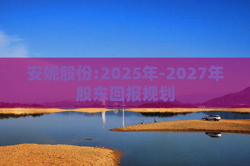 安妮股份:2025年-2027年股东回报规划