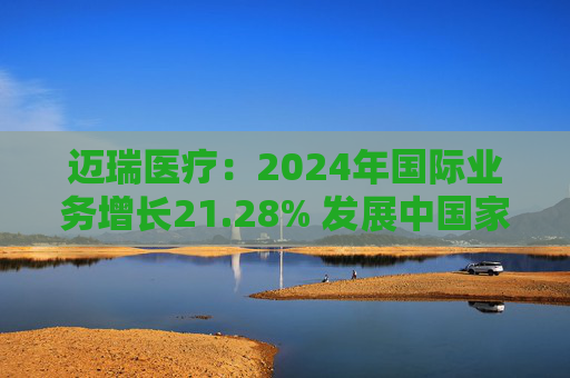 迈瑞医疗：2024年国际业务增长21.28% 发展中国家成重要增长引擎