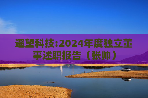 遥望科技:2024年度独立董事述职报告（张帅）
