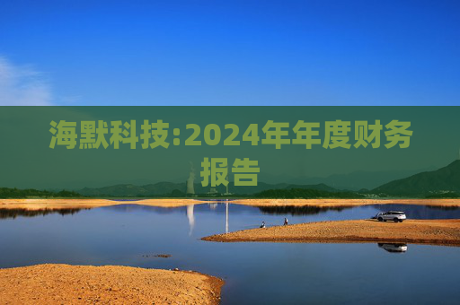 海默科技:2024年年度财务报告