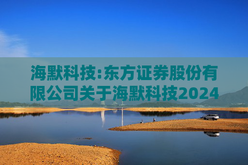 海默科技:东方证券股份有限公司关于海默科技2024年年度持续督导跟踪报告  第1张