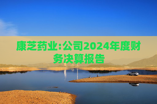 康芝药业:公司2024年度财务决算报告  第1张