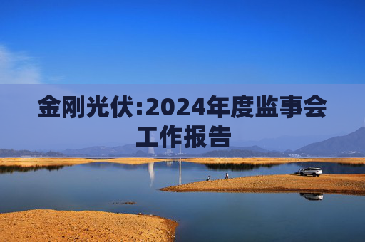 金刚光伏:2024年度监事会工作报告