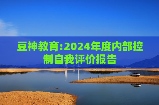 豆神教育:2024年度内部控制自我评价报告