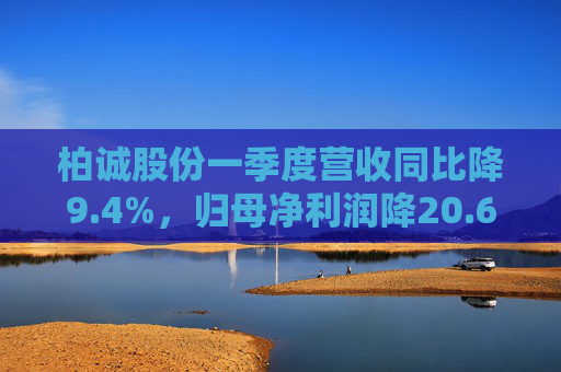 柏诚股份一季度营收同比降9.4%，归母净利润降20.6%