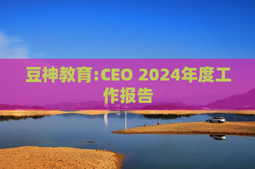 豆神教育:CEO 2024年度工作报告  第1张