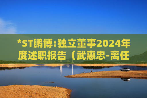 *ST鹏博:独立董事2024年度述职报告（武惠忠-离任）