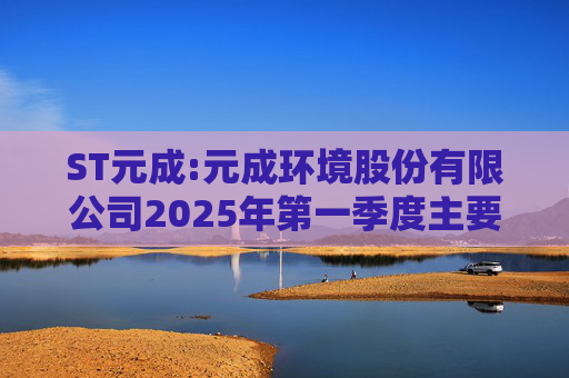 ST元成:元成环境股份有限公司2025年第一季度主要经营数据的公告
