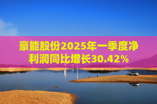 豪能股份2025年一季度净利润同比增长30.42%  第1张