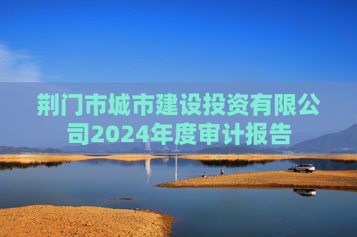 荆门市城市建设投资有限公司2024年度审计报告