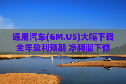 通用汽车(GM.US)大幅下调全年盈利预期 净利润下修至82亿-101亿美元