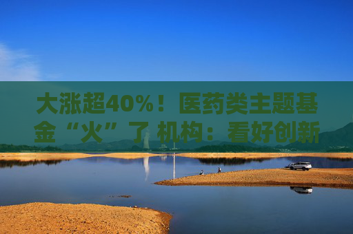 大涨超40%！医药类主题基金“火”了 机构：看好创新药投资机会