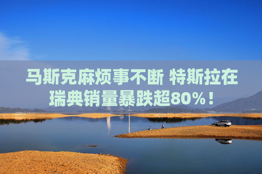 马斯克麻烦事不断 特斯拉在瑞典销量暴跌超80%！