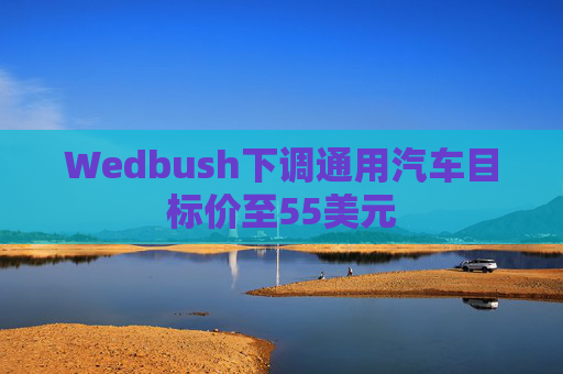 Wedbush下调通用汽车目标价至55美元  第1张