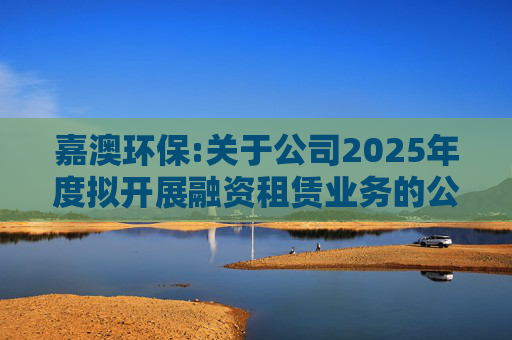 嘉澳环保:关于公司2025年度拟开展融资租赁业务的公告