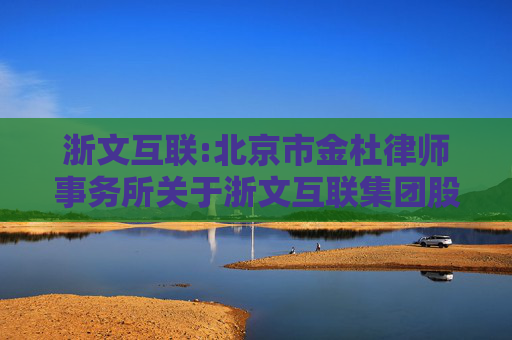 浙文互联:北京市金杜律师事务所关于浙文互联集团股份有限公司2024年年度股东大会的法律意见书  第1张