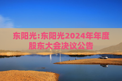 东阳光:东阳光2024年年度股东大会决议公告  第1张