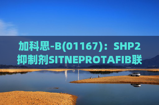 加科思-B(01167)：SHP2抑制剂SITNEPROTAFIB联用研究数据发表于学术期刊  第1张
