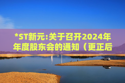 *ST新元:关于召开2024年年度股东会的通知（更正后）