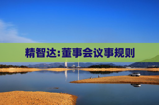 精智达:董事会议事规则