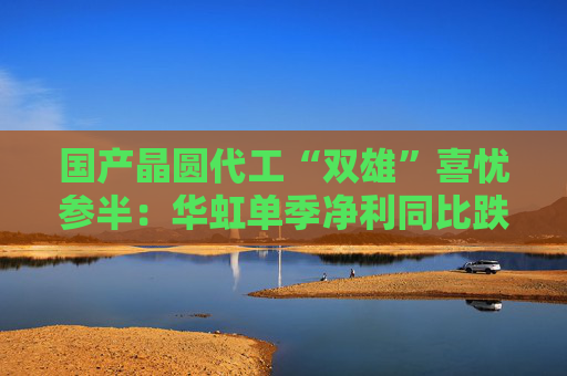 国产晶圆代工“双雄”喜忧参半：华虹单季净利同比跌近9成，中芯国际大涨166.5%