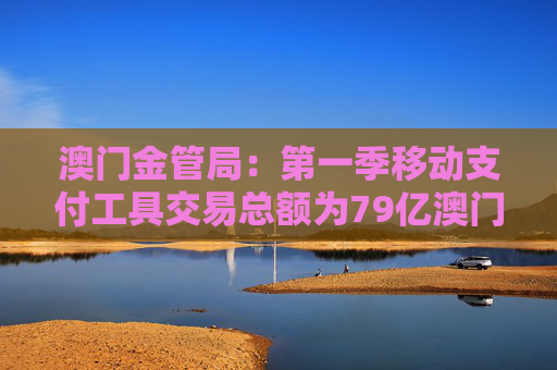 澳门金管局：第一季移动支付工具交易总额为79亿澳门元 同比上升8.7%