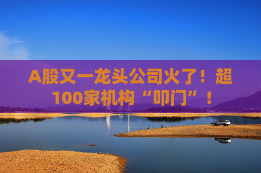 A股又一龙头公司火了！超100家机构“叩门”！