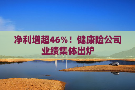 净利增超46%！健康险公司业绩集体出炉