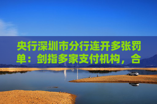 央行深圳市分行连开多张罚单：剑指多家支付机构，合计罚没超1483万元