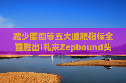减少腰围等五大减肥指标全面胜出!礼来Zepbound头对头试验碾压诺和诺德(NVO.US)Wegovy
