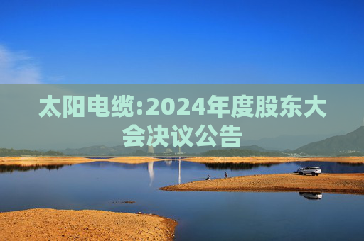 太阳电缆:2024年度股东大会决议公告