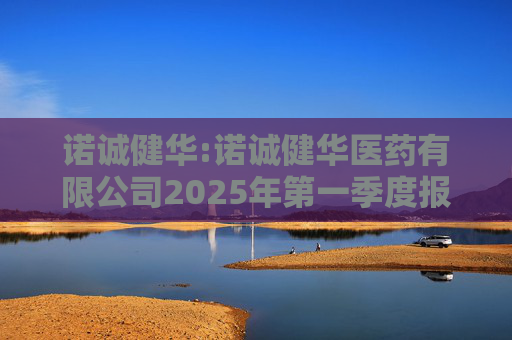诺诚健华:诺诚健华医药有限公司2025年第一季度报告