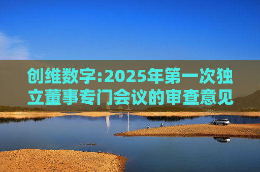 创维数字:2025年第一次独立董事专门会议的审查意见