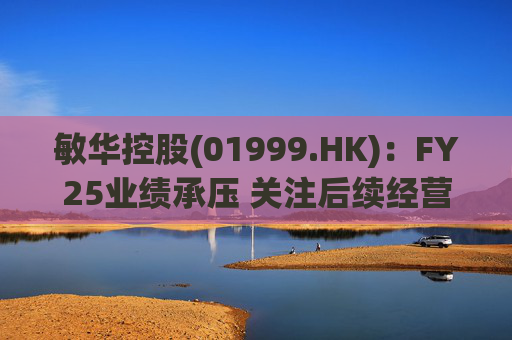 敏华控股(01999.HK)：FY25业绩承压 关注后续经营改善