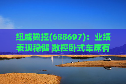 纽威数控(688697)：业绩表现稳健 数控卧式车床有望打开新空间