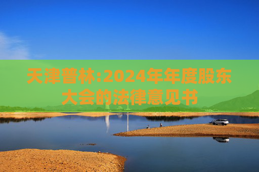 天津普林:2024年年度股东大会的法律意见书