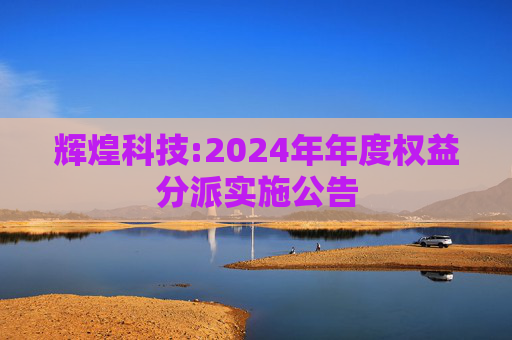 辉煌科技:2024年年度权益分派实施公告  第1张