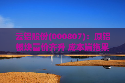 云铝股份(000807)：原铝板块量价齐升 成本端拖累Q4业绩