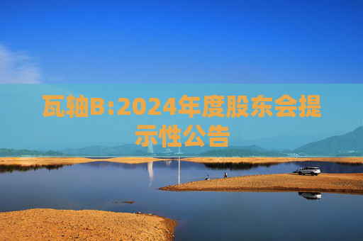 瓦轴B:2024年度股东会提示性公告