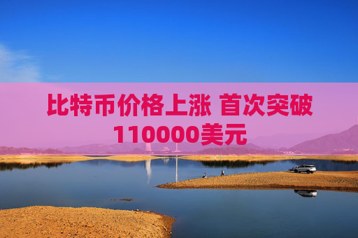 比特币价格上涨 首次突破110000美元