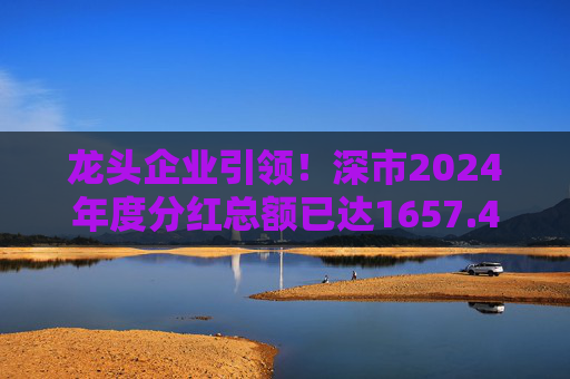 龙头企业引领！深市2024年度分红总额已达1657.47亿元  第1张