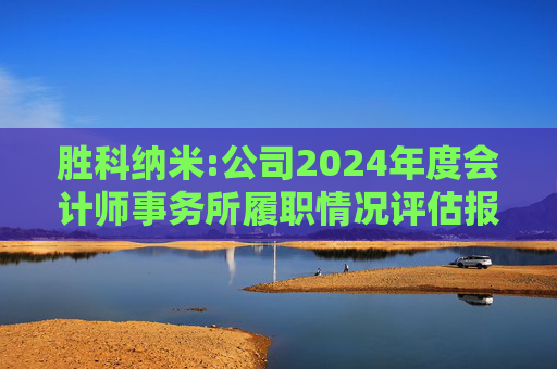 胜科纳米:公司2024年度会计师事务所履职情况评估报告